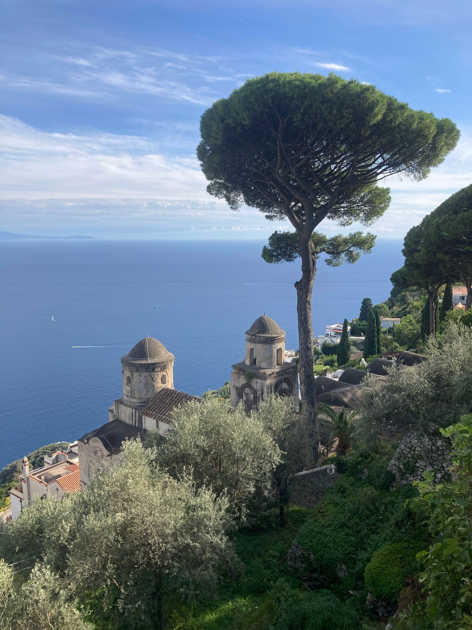 The Mediterranean Sea and umbrella pines overlooking the coast in Ravello, Italy